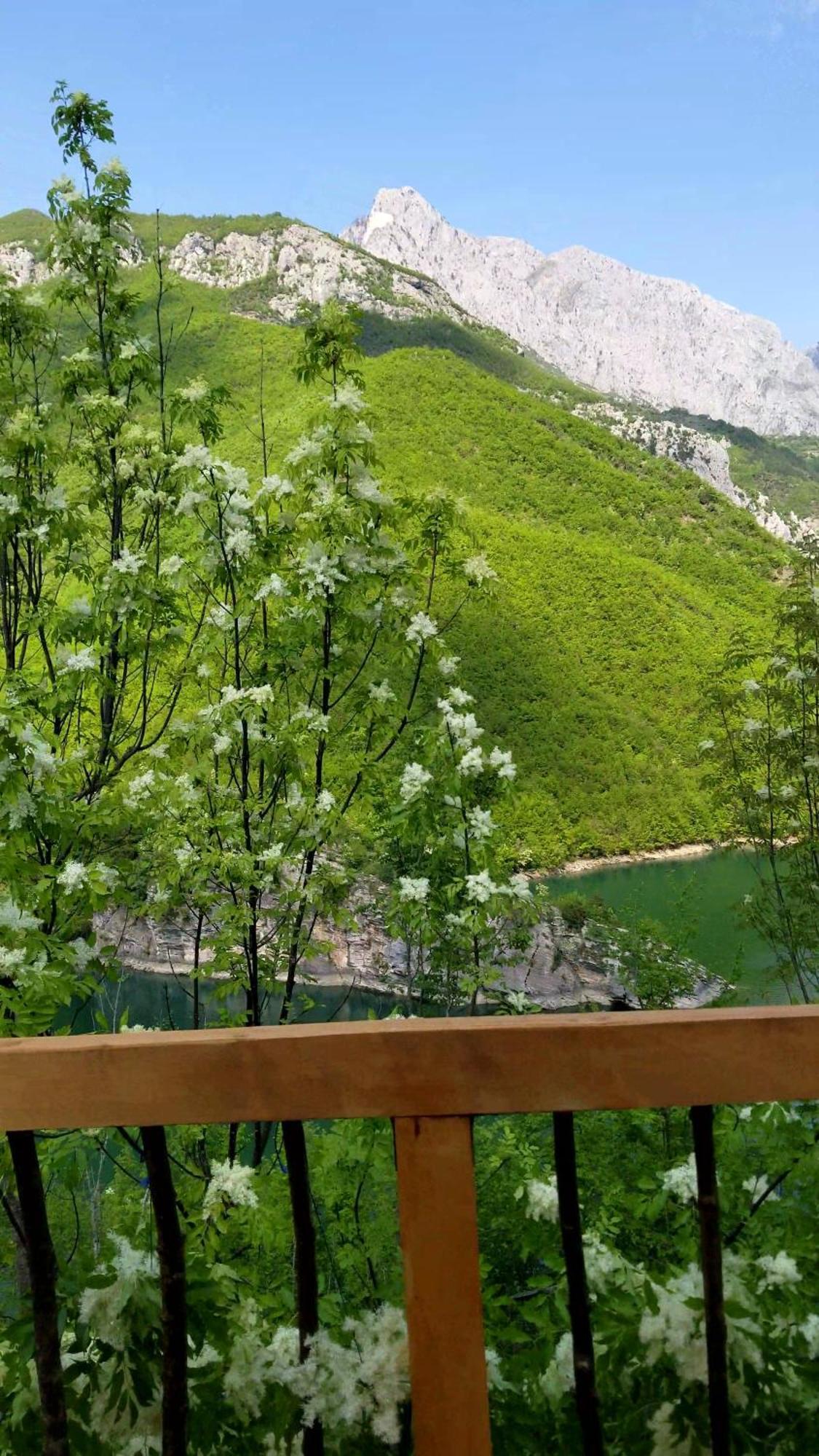 Twin Villas Komani Lake المظهر الخارجي الصورة